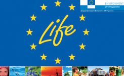 Programma LIFE: 380 milioni di euro per 168 nuovi progetti verdi. In Italia…