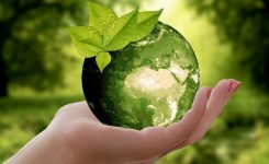 Congresso Consiglio d’Europa: “diritto a un ambiente sano, diritto umano universale”