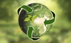 Commissione, istruzione e formazione: “sostenibilità ambientale al centro”