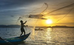 Pesca e acquacoltura: Commissione attiva misure di crisi