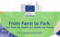 Sicurezza alimentare: Commissione europea intensifica sostegno all’azione globale