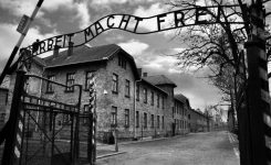 Consiglio d’Europa: “trasmettere la memoria dell’Olocausto”