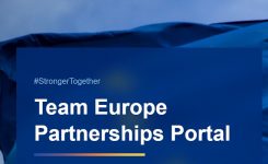 online portale delle partnership di Team Europe