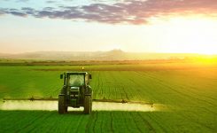 CdR: “per regioni e  città nuovi criteri per sostenere agricoltori colpiti da crisi”