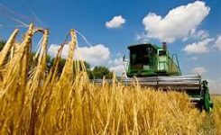 Ucraina: Solidarity Lanes Ue per aiutare ad esportare prodotti agricoli