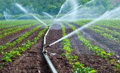 Scarsità idrica: UE fornisce consulenza sul riutilizzo dell’acqua in agricoltura