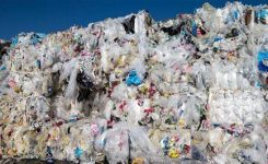 Economia circolare: nuove norme UE per uso di plastica riciclata