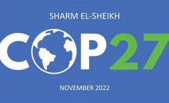 PE al G20: “rivedere obiettivi cambiamenti climatici prima della COP27”