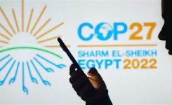 Conferenza clima COP 27: la posizione comune di  CEMR e PLATFORMA