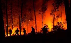 Incendi boschivi: 170 milioni per rafforzare flotta rescEU