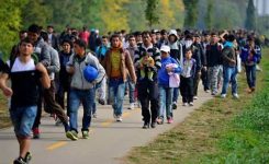 Presentato Rapporto 2022 su migrazione e asilo