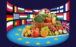 UE: 210 milioni di euro in assistenza alimentare per i più vulnerabili nel mondo