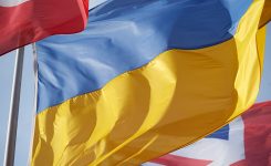 Ucraina: Consiglio d’Europa adotta nuovo Piano d’azione