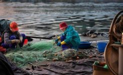 Aiuti di Stato nel settore della pesca: gli orientamenti dell’UE