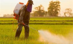 Agricoltura, UE:  strumenti per usare meno pesticidi chimici