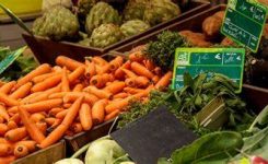 Aggiornate norme su commercializzazione prodotti agroalimentari