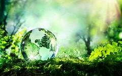 Consiglio d’Europa: riconoscere diritto ad ambiente sano come diritto umano