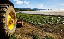 Settore agricolo: 430 milioni di euro dai fondi dell’UE