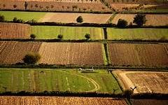 Eurostat: aumenti prezzi agricoli rallentati nel primo trimestre 2023