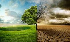 Cambiamento climatico, Congresso: “enti locali responsabili nei confronti dei cittadini”