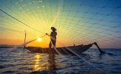 Pesca sostenibile, UE:  necessari ulteriori sforzi per costruire settore resiliente