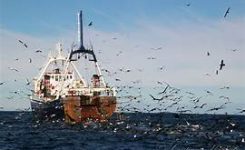 UE tra i primi ad accettare accordo OMC sui sussidi alla pesca