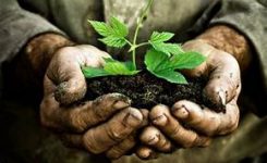 Green Deal europeo: uso più sostenibile del suolo
