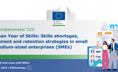 Indagine UE evidenzia carenza di competenze nelle PMI