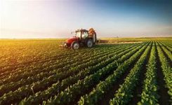 Finanziamenti UE per promuovere agroalimentare all’interno e all’esterno dell’Ue