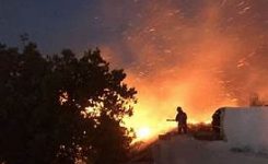 UE: è allarme incendi boschivi