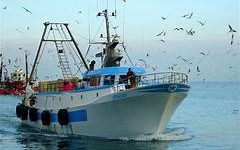 Rafforzato controllo della gestione della pesca nel Mediterraneo