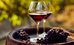 UE: vini Emilia-Romagna aggiunti al registro delle DOP