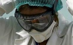 Italia: 46,7 milioni per agricoltori colpiti da influenza aviaria
