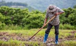 UE: agricoltori esentati da norme sui terreni a riposo