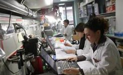Scienziati e ingegneri, Eurotat: 41% sono donne