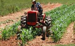 Proposta revisione della PAC per sostenere gli agricoltori