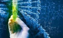UE interviene per promuovere biotecnologia e  bioproduzione