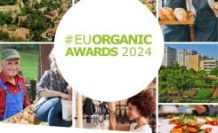 Aperto il bando per le candidature agli EU Organic Awards!